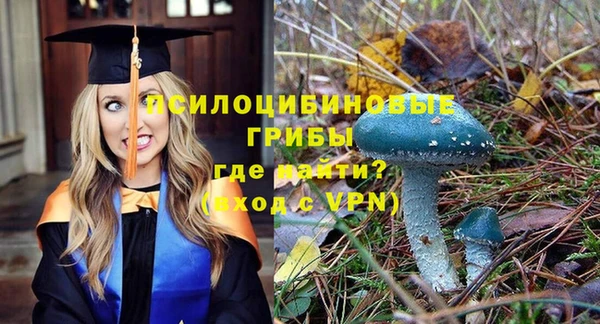 мескалин Богданович